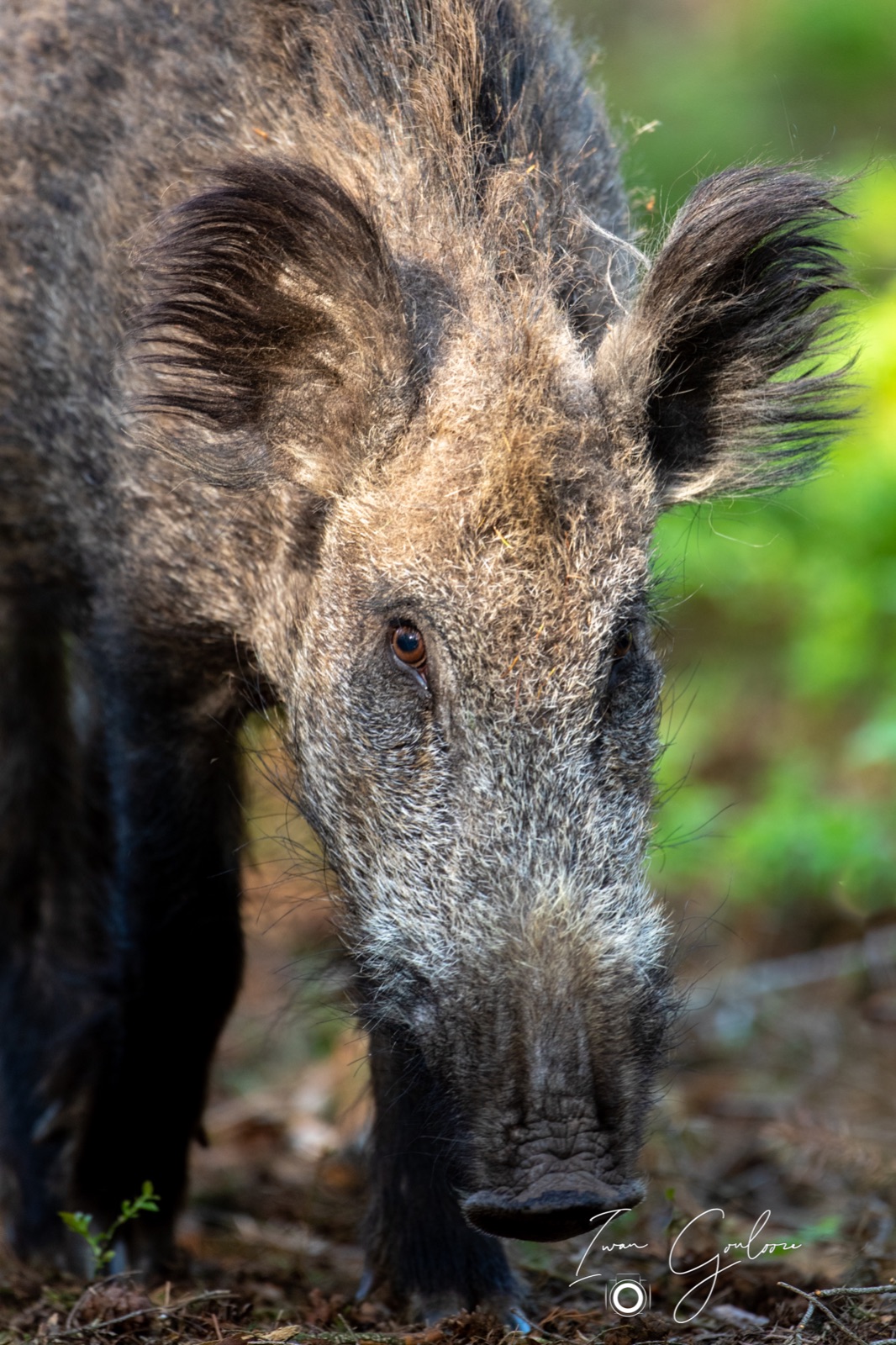 08 mei 2022 180852 1DX42873